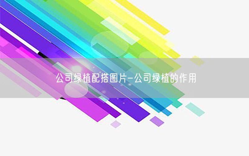 公司绿植配搭图片-公司绿植的作用