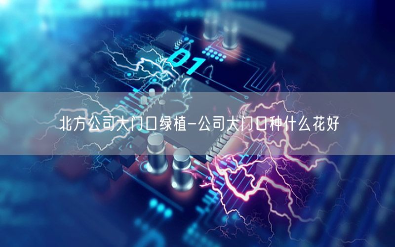 北方公司大门口绿植-公司大门口种什么花好