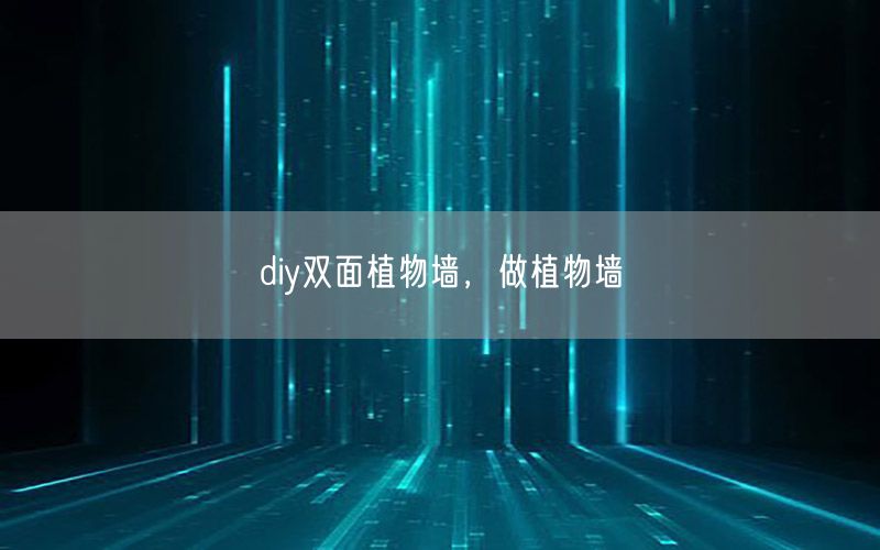 diy双面植物墙，做植物墙