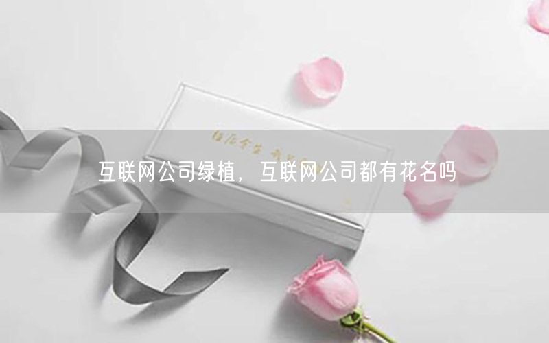 互联网公司绿植，互联网公司都有花名吗