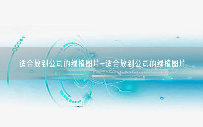 适合放到公司的绿植图片-适合放到公司的绿植图片