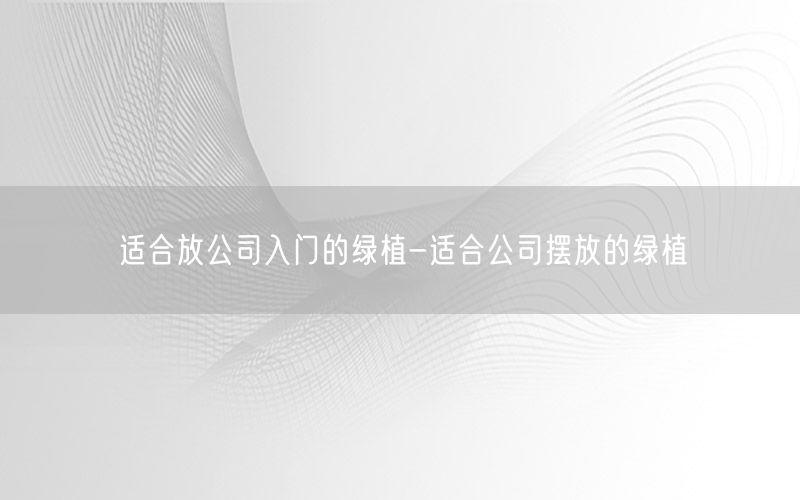 适合放公司入门的绿植-适合公司摆放的绿植