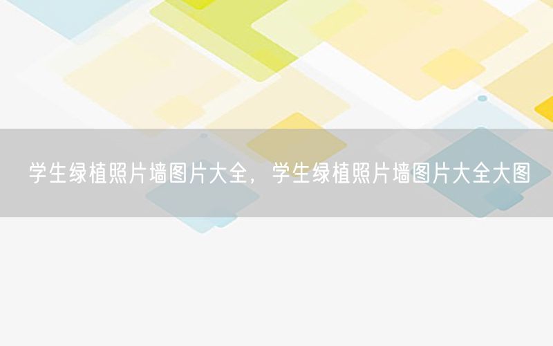 学生绿植照片墙图片大全，学生绿植照片墙图片大全大图