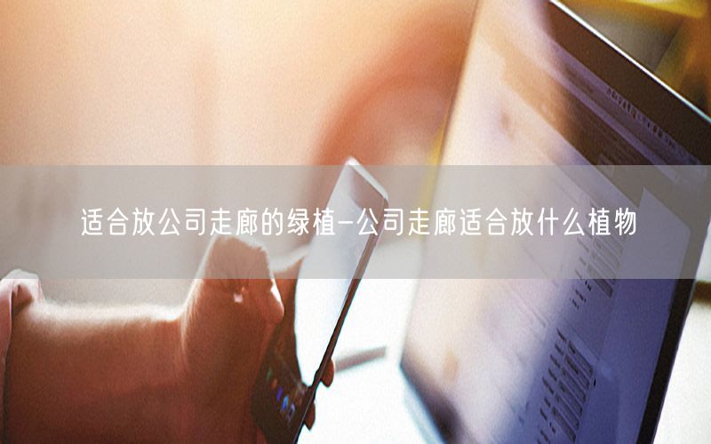 适合放公司走廊的绿植-公司走廊适合放什么植物