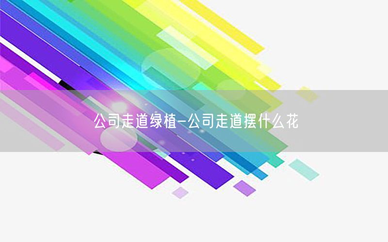 公司走道绿植-公司走道摆什么花