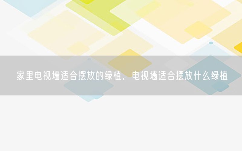 家里电视墙适合摆放的绿植，电视墙适合摆放什么绿植