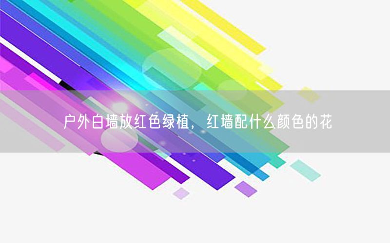 户外白墙放红色绿植，红墙配什么颜色的花