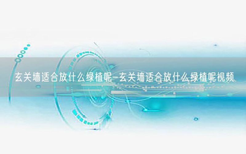 玄关墙适合放什么绿植呢-玄关墙适合放什么绿植呢视频