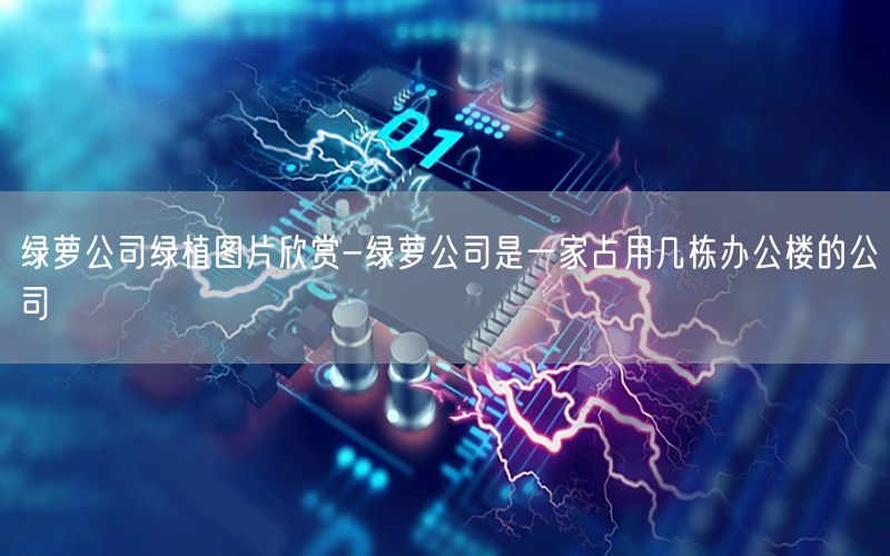 绿萝公司绿植图片欣赏-绿萝公司是一家占用几栋办公楼的公司