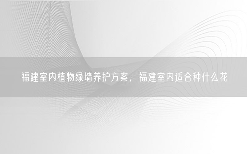 福建室内植物绿墙养护方案，福建室内适合种什么花