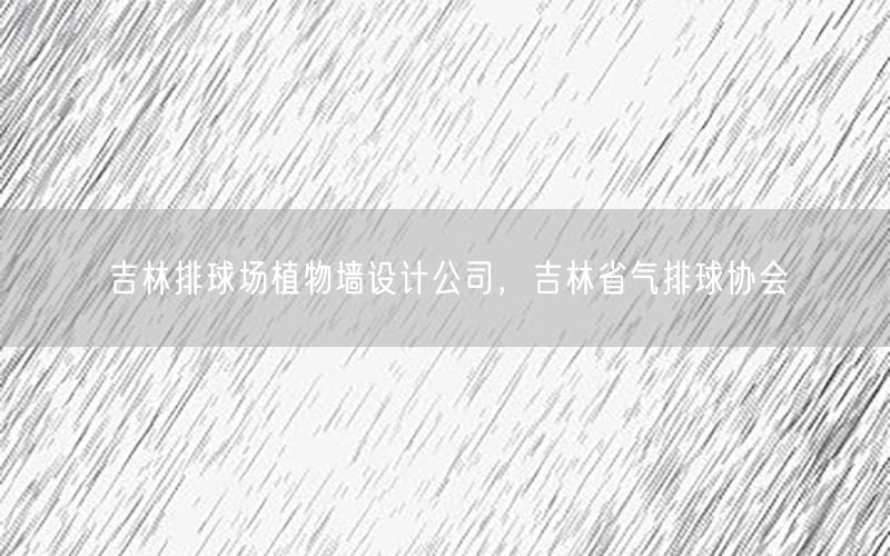 吉林排球场植物墙设计公司，吉林省气排球协会