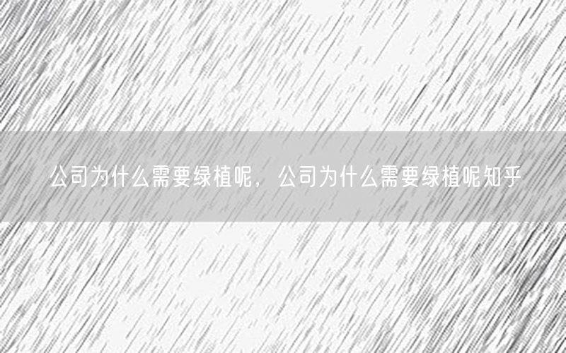 公司为什么需要绿植呢，公司为什么需要绿植呢知乎