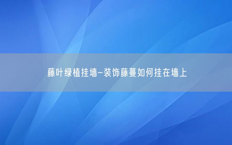 藤叶绿植挂墙-装饰藤蔓如何挂在墙上