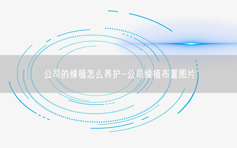 公司的绿植怎么养护-公司绿植布置图片