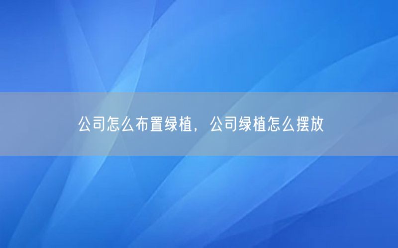 公司怎么布置绿植，公司绿植怎么摆放