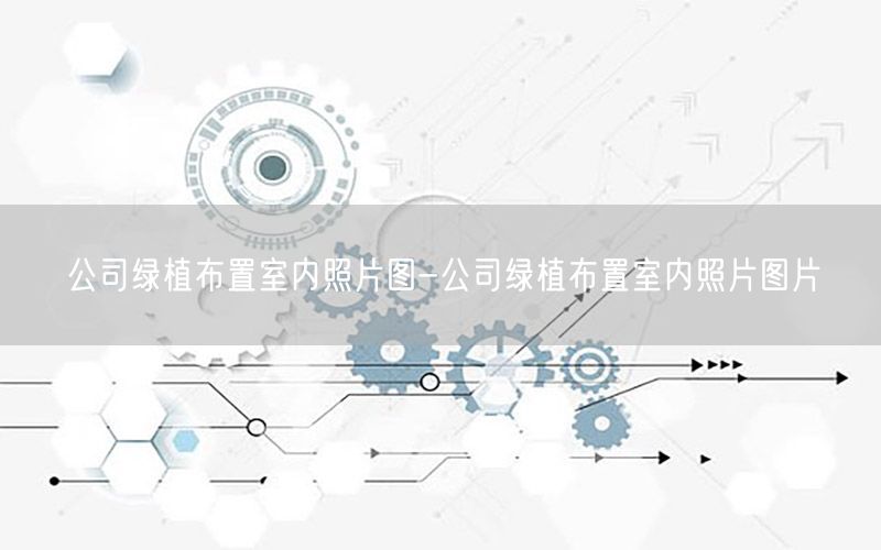 公司绿植布置室内照片图-公司绿植布置室内照片图片