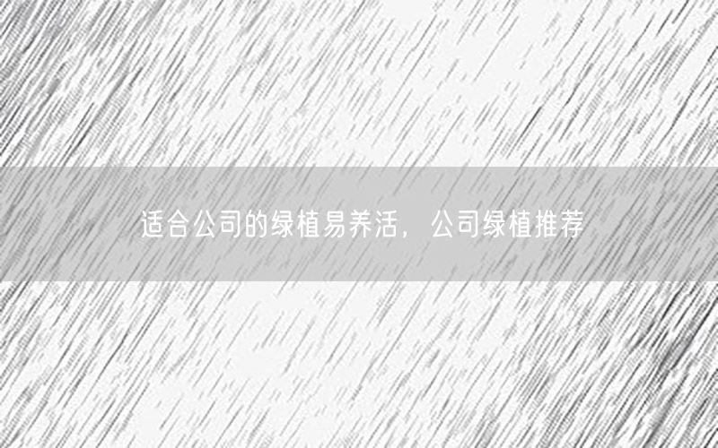 适合公司的绿植易养活，公司绿植推荐