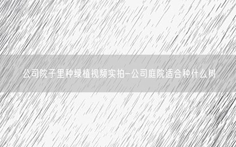 公司院子里种绿植视频实拍-公司庭院适合种什么树