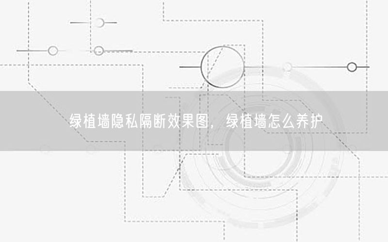 绿植墙隐私隔断效果图，绿植墙怎么养护