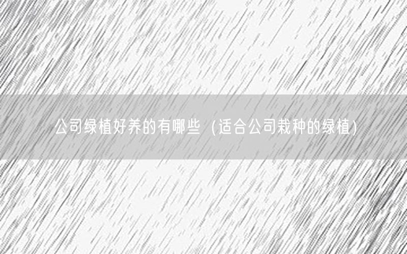 公司绿植好养的有哪些（适合公司栽种的绿植）