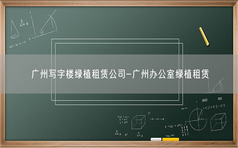 广州写字楼绿植租赁公司-广州办公室绿植租赁