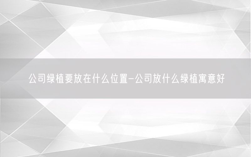 公司绿植要放在什么位置-公司放什么绿植寓意好