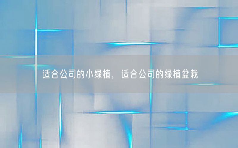 适合公司的小绿植，适合公司的绿植盆栽